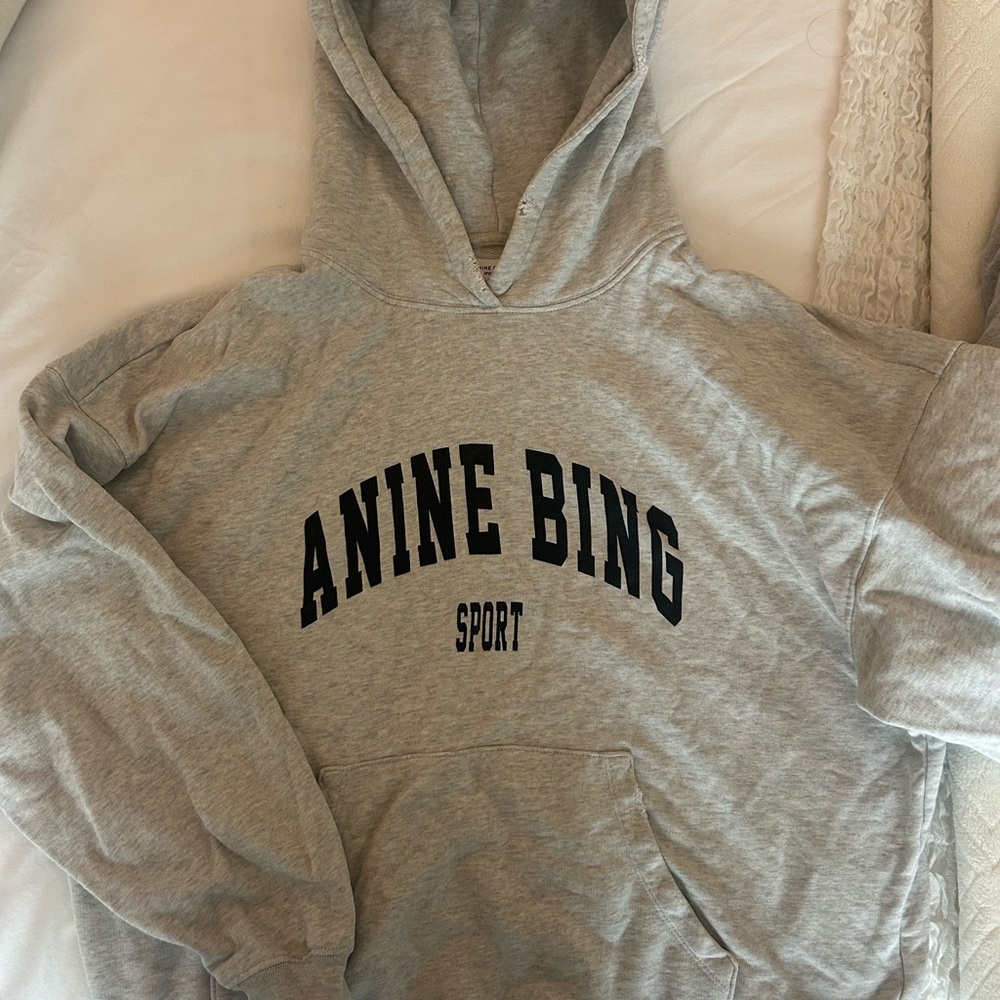 Anine Bing Sport Gray Hoodie